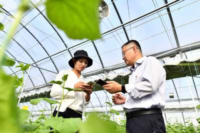 山東鄉(xiāng)村振興五年間 農(nóng)業(yè)技術(shù)推廣的探路與擔當