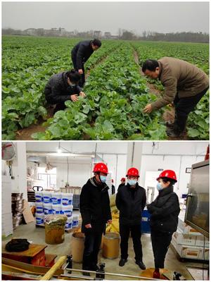 科技助農穩生產，服務下鄉促春耕——市農技推廣中心積極開展春耕備耕指導工作