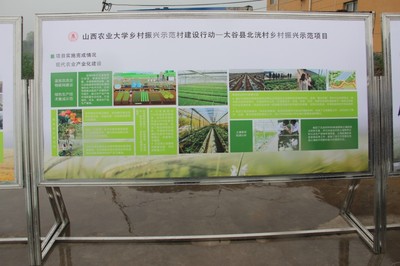 園藝學院春菜品種展示交流會 科技賦能農業，創新引領未來