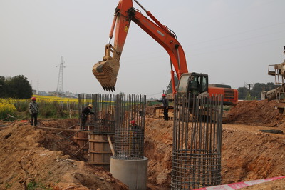 東坡區(qū)成立保障專組，為項目建設(shè)“滿血復活”注入強勁動力